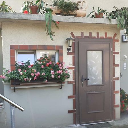 Wohnung Wohlensee Hinterkappelen 外观 照片